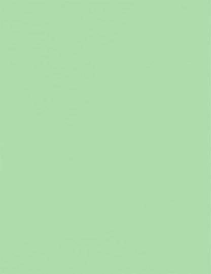 LUXPaper 8.5" x 11" Paper | Letter Size | Pastel Green | 60lb. Text | 500 Qty by LUXPaper