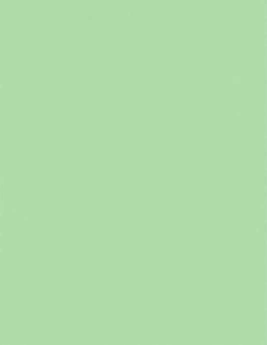 LUXPaper 8.5" x 11" Paper | Letter Size | Pastel Green | 60lb. Text | 500 Qty by LUXPaper