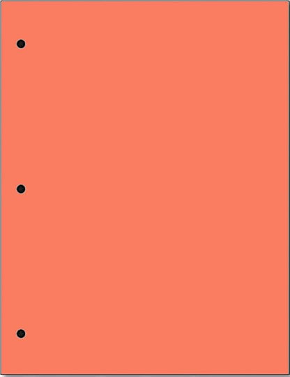 Copy And Printing Color Paper, 20 Lb. 3 Hole Punch 500 Sheets Per Ream. by Limited+Papers