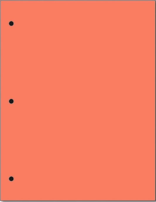 Copy And Printing Color Paper, 20 Lb. 3 Hole Punch 500 Sheets Per Ream. by Limited+Papers