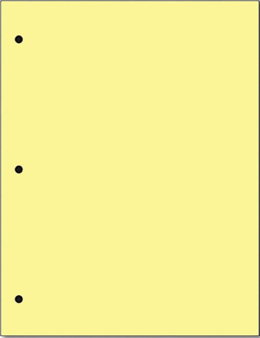 Copy And Printing Color Paper, 20 Lb. 3 Hole Punch 500 Sheets Per Ream. by Limited+Papers