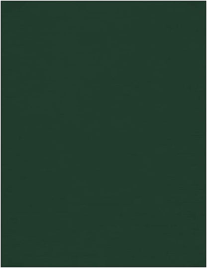 LUXPaper 8.5" x 11" Cardstock | Letter Size | Green Linen | 100lb. Cover | 50 by LUXPaper
