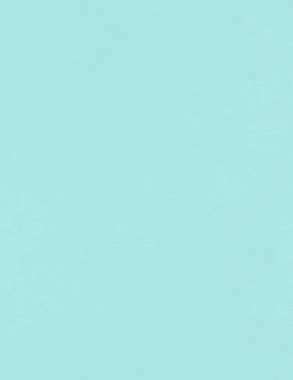LUXPaper 8.5" x 11" Paper | Letter Size | Seafoam Blue | 80lb. Text | 50 Qty by LUXPaper