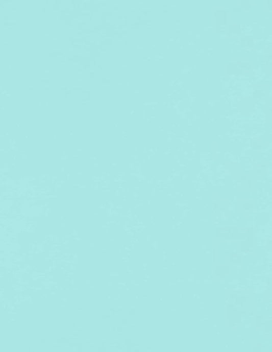 LUXPaper 8.5" x 11" Paper | Letter Size | Seafoam Blue | 80lb. Text | 50 Qty by LUXPaper