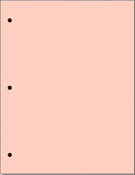 Copy And Printing Color Paper, 20 Lb. 3 Hole Punch 500 Sheets Per Ream. by Limited+Papers