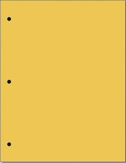 Copy And Printing Color Paper, 20 Lb. 3 Hole Punch 500 Sheets Per Ream. by Limited+Papers