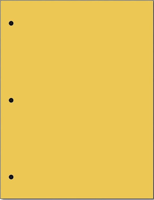 Copy And Printing Color Paper, 20 Lb. 3 Hole Punch 500 Sheets Per Ream. by Limited+Papers