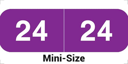 2024 MINI Year Labels, Doctor Stuff 2024 Chart Stickers, Ames Small Style by DoctorStuff