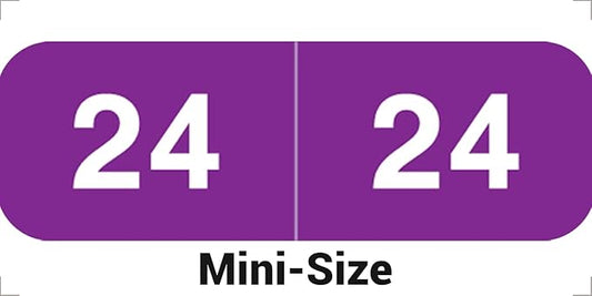 2024 MINI Year Labels, Doctor Stuff 2024 Chart Stickers, Ames Small Style by DoctorStuff