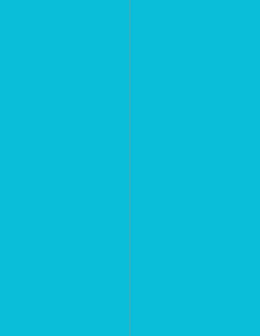 NextDayLabels - 8-1/2 x 11 Neon Color High Light Fluorescent Labels by NextDayLabels