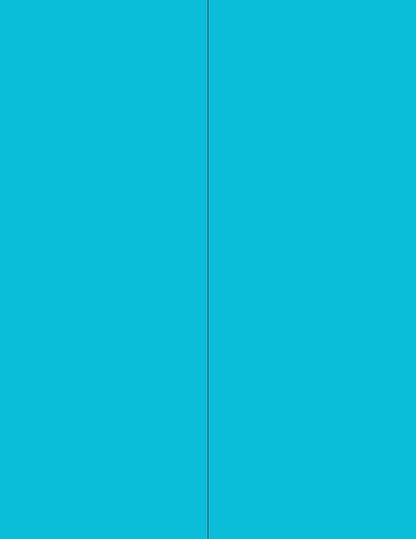 NextDayLabels - 8-1/2 x 11 Neon Color High Light Fluorescent Labels by NextDayLabels