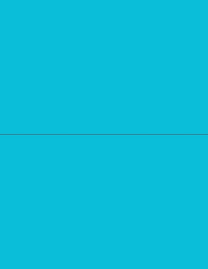 NextDayLabels - 8-1/2 x 11 Neon Color High Light Fluorescent Labels by NextDayLabels