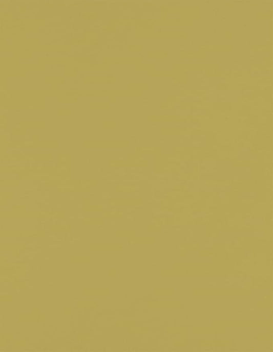 LUXPaper 8.5" x 11" Paper | Letter Size | Olive Green | 70lb. Text | 50 Qty by LUXPaper