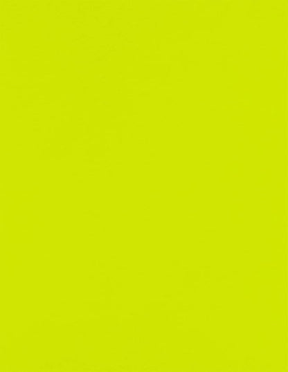 LUXPaper 8.5" x 11" Paper | Letter Size | Wasabi Green | 80lb. Text | 50 Qty by LUXPaper