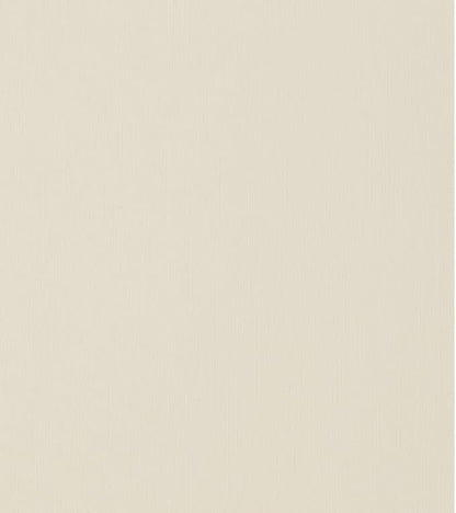 LUXPaper 8.5" x 11" Cardstock | Letter Size | Natural Linen | 100lb. Cover | - Image 3