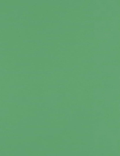 LUXPaper 8.5" x 11" Paper | Letter Size | Holiday Green | 80lb. Text | 50 Qty by LUXPaper