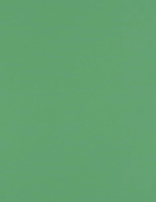 LUXPaper 8.5" x 11" Paper | Letter Size | Holiday Green | 80lb. Text | 50 Qty by LUXPaper