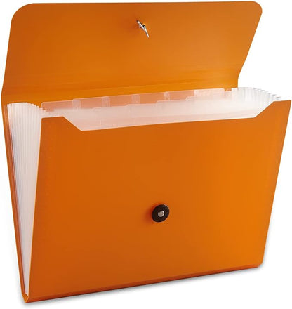 Nicfaec Expanding File Folder, 13 Pockets, Polypropylene by Nicfaec