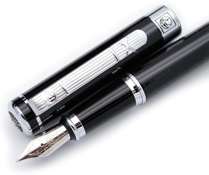 Picasso 902 Gentleman Collection Fountain Pen Original Box by czxwyst