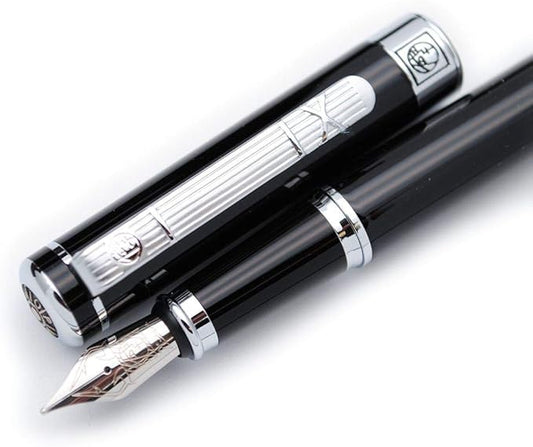 Picasso 902 Gentleman Collection Fountain Pen Original Box by czxwyst