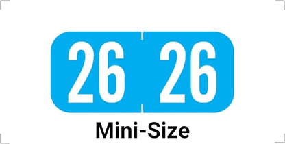 MINI 2026 Year Stickers, Doctor Stuff 2026 Chart Stickers, Light Blue Color by DoctorStuff