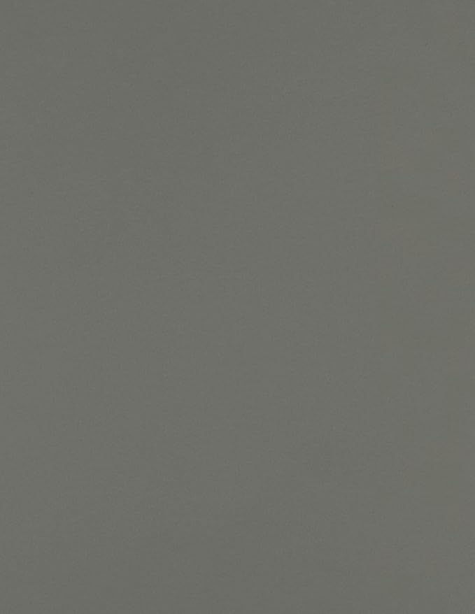 LUXPaper 8.5" x 11" Paper | Letter Size | Smoke Gray | 80lb. Text | 1, 000 Qty by LUXPaper