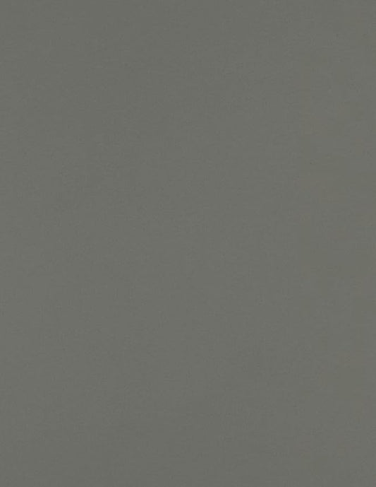 LUXPaper 8.5" x 11" Paper | Letter Size | Smoke Gray | 80lb. Text | 1, 000 Qty by LUXPaper