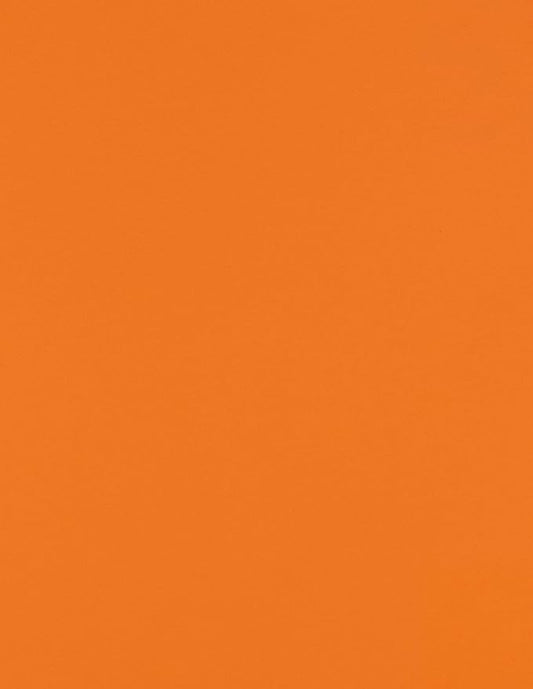 LUXPaper 8.5" x 11" Paper | Letter Size | Mandarin Orange | 80lb. Text | 250 Qty by LUXPaper