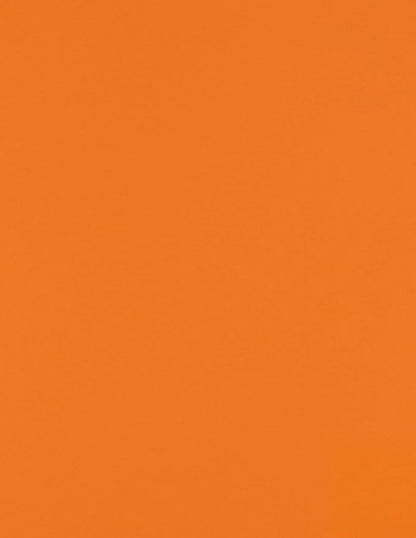 LUXPaper 8.5" x 11" Paper | Letter Size | Mandarin Orange | 80lb. Text | 500 Qty by LUXPaper