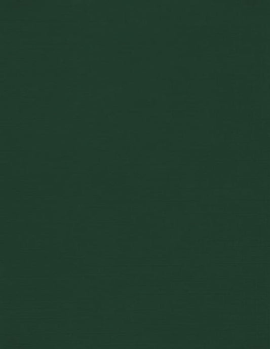 LUXPaper 8.5" x 11" Cardstock | Letter Size | Green Linen | 100lb. Cover | 500 by LUXPaper