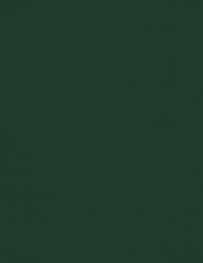 LUXPaper 8.5" x 11" Cardstock | Letter Size | Green Linen | 100lb. Cover | 250 by LUXPaper