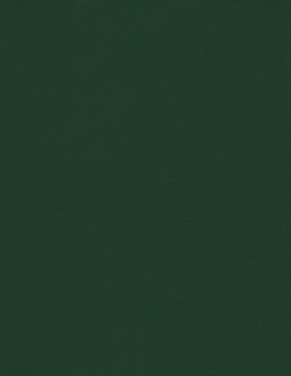 LUXPaper 8.5" x 11" Cardstock | Letter Size | Green Linen | 100lb. Cover | 250 by LUXPaper