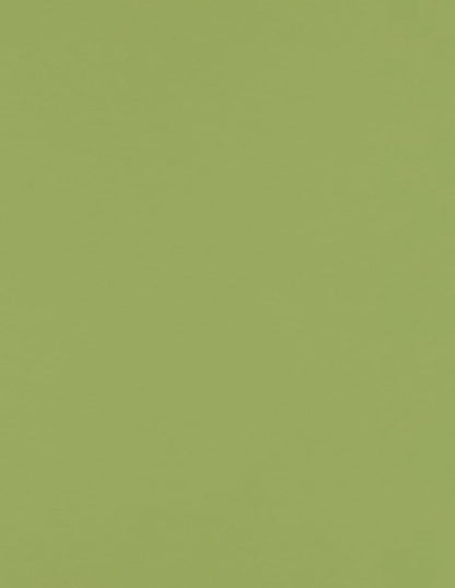 LUXPaper 8.5" x 11" Paper | Letter Size | Avocado Green | 70lb. Text | 250 Qty by LUXPaper