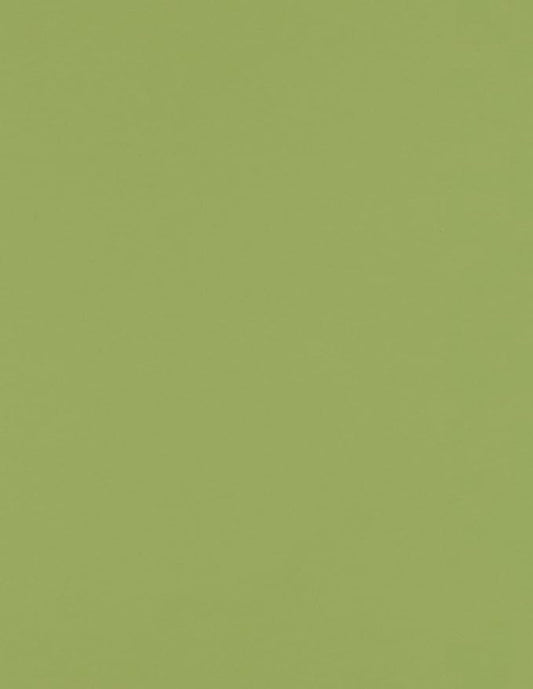 LUXPaper 8.5" x 11" Paper | Letter Size | Avocado Green | 70lb. Text | 250 Qty by LUXPaper