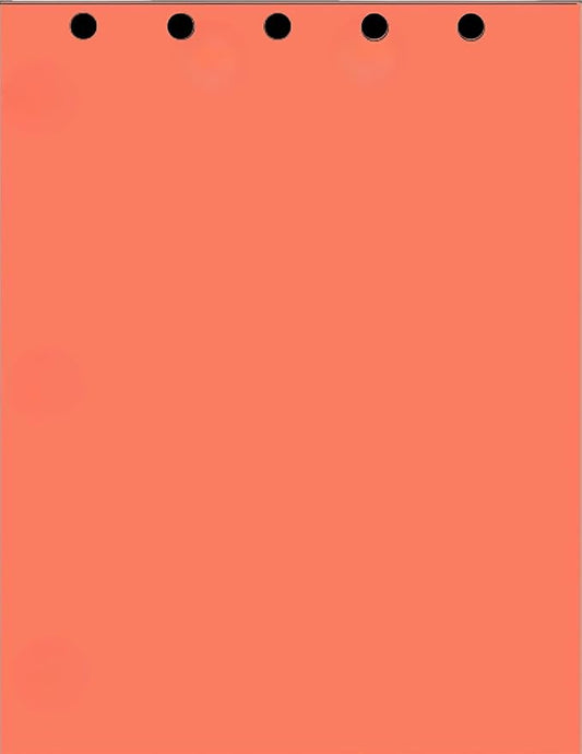 Limited Papers Writing and Copy Paper, Variation of Colors 8.5" x 11", 5 Hole by Limited+Papers
