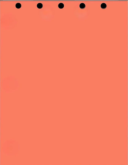 Limited Papers Writing and Copy Paper, Variation of Colors 8.5" x 11", 5 Hole by Limited+Papers