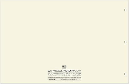 BookFactory Ledger Sheets/Large 13 Column Accounting Ledger Columnar Loose Leaf - Image 3
