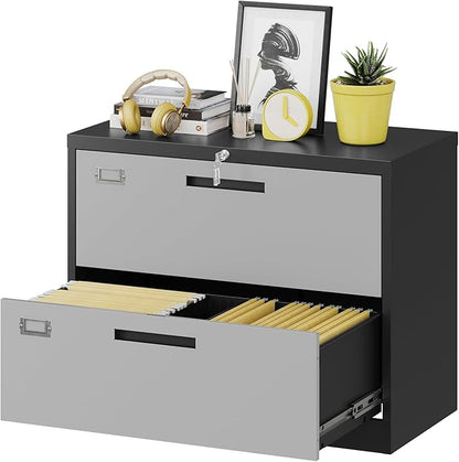 Fesbos 2 Drawer Lateral File Cabinet by Fesbos