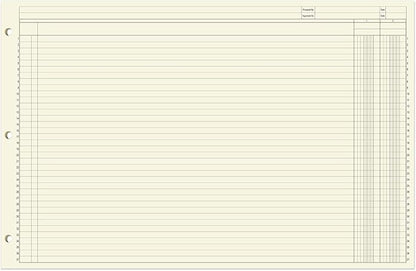 BookFactory Ledger Sheets/Large 2 Column Accounting Ledger Columnar Loose Leaf - Image 2