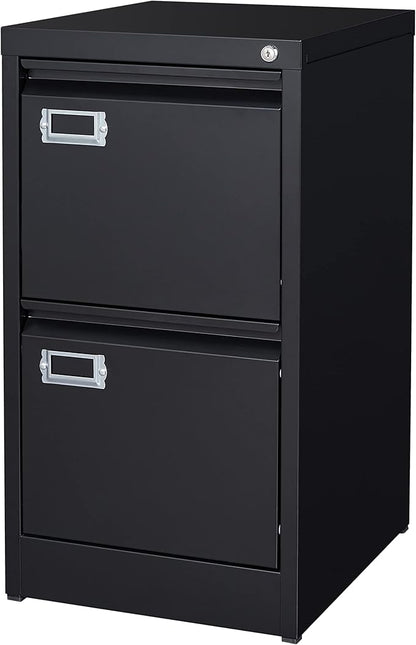 BYNSOE 2 Drawer File Cabinet by BYNSOE