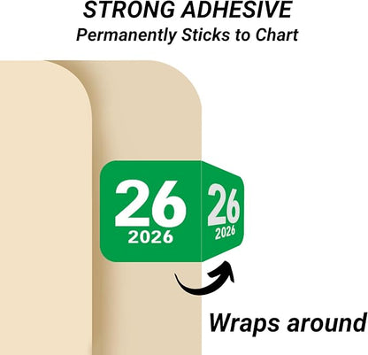 2026 Year Labels, Doctor Stuff 2026 Chart Stickers, Col'R'Tab/Tabbies Style - Image 2
