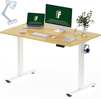 FLEXISPOT One-Piece Electric Standing Desk, 48 x 30 Inches Adjustable Desk by FlexiSpot