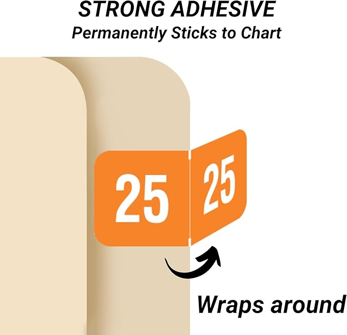 2025 Year Labels, Doctor Stuff 2025 Chart Stickers, Reynolds & Reynolds Style - Image 3