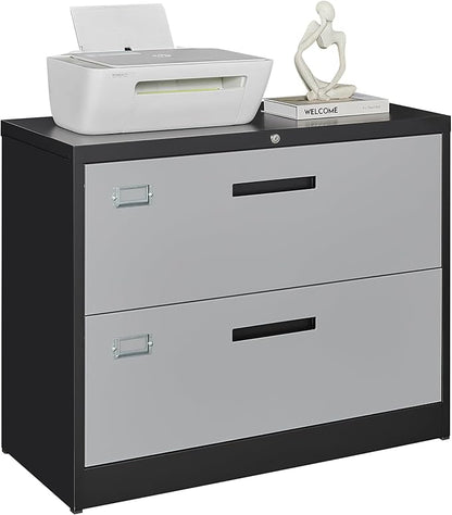 Letaya File Cabinet with Lock-Lateral 2 Drawer Metal Filing by LetayaMetalCabinets