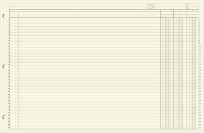 BookFactory Ledger Sheets/Large 3 Column Accounting Ledger Columnar Loose Leaf - Image 2