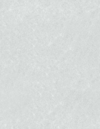 LUXPaper 8.5" x 11" Paper | Letter Size | Blue Parchment | 60lb. Text | 250 Qty by LUXPaper
