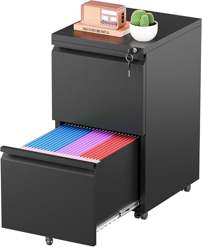 Greenvelly 2 Drawer Mobile File Cabinet by Greenvelly