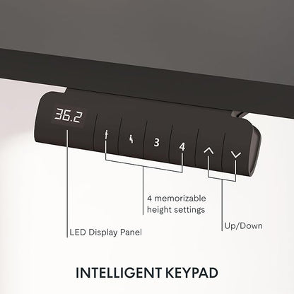 FlexiSpot E6 3-Stage Dual Motor Electric Standing Desk 48 x 30 Sit Stand Up Desk - Image 4