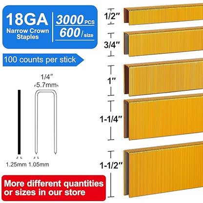 SimCos 18 Gauge 1/4" Narrow Crown Staples, Galvanized Assorted Sizes - Image 3