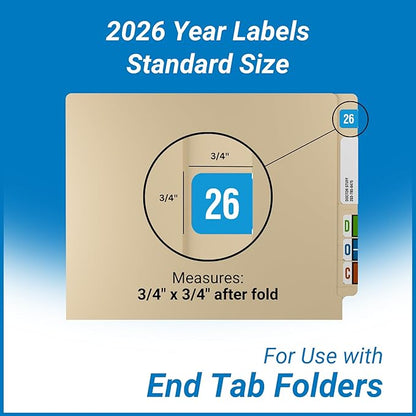 2026 Year Labels, Doctor Stuff 2026 Chart Stickers, Light Blue/White Color Coded - Image 3